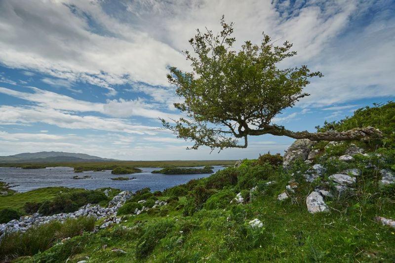 Clifden Glen Holiday Cottages, Clifden, Co. Galway - 3 Bedrooms Sleeps 5 Esterno foto