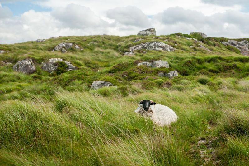 Clifden Glen Holiday Cottages, Clifden, Co. Galway - 3 Bedrooms Sleeps 5 Esterno foto